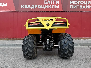 Квадроцикл IRBIS ATV125