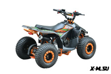 Квадроцикл WELS TUKAH 110