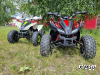Квадроцикл PROMAX SPORT - PRO 180 (2025)