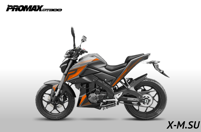 Мотоцикл PROMAX MT300